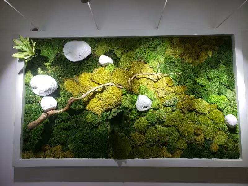 舟山仿真苔蘚 工廠批發與生態環境材料銷售的全景指南