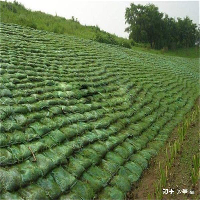生態袋護坡 綠色堤防的創新解決方案——德州眾匯土工材料引領生態環境建設